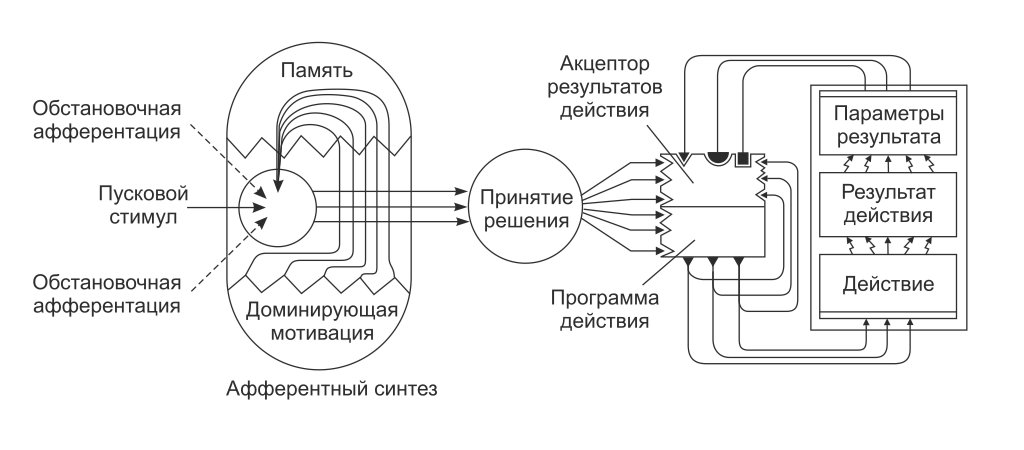 Схема функциональной системы по П.К. Анохину: афферентный синтез, принятие решения, акцептор результатов действия, программа действия, параметры результата